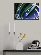 Dragons Poster och Canvastavla