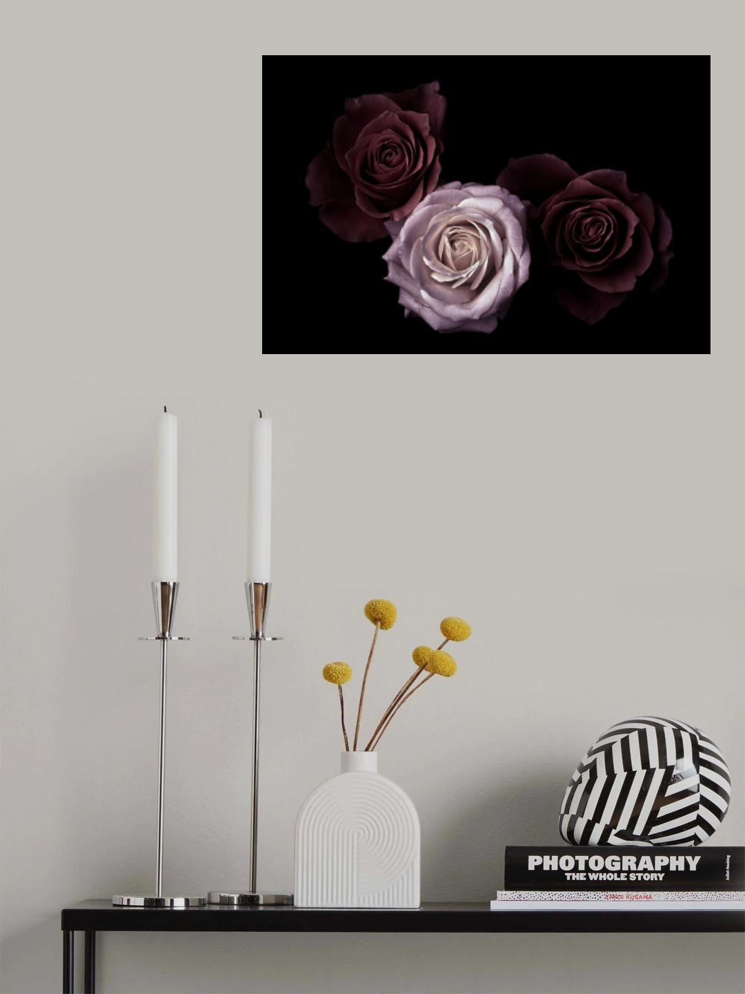 Roses Poster och Canvastavla