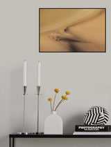 Life in the desert Poster och Canvastavla