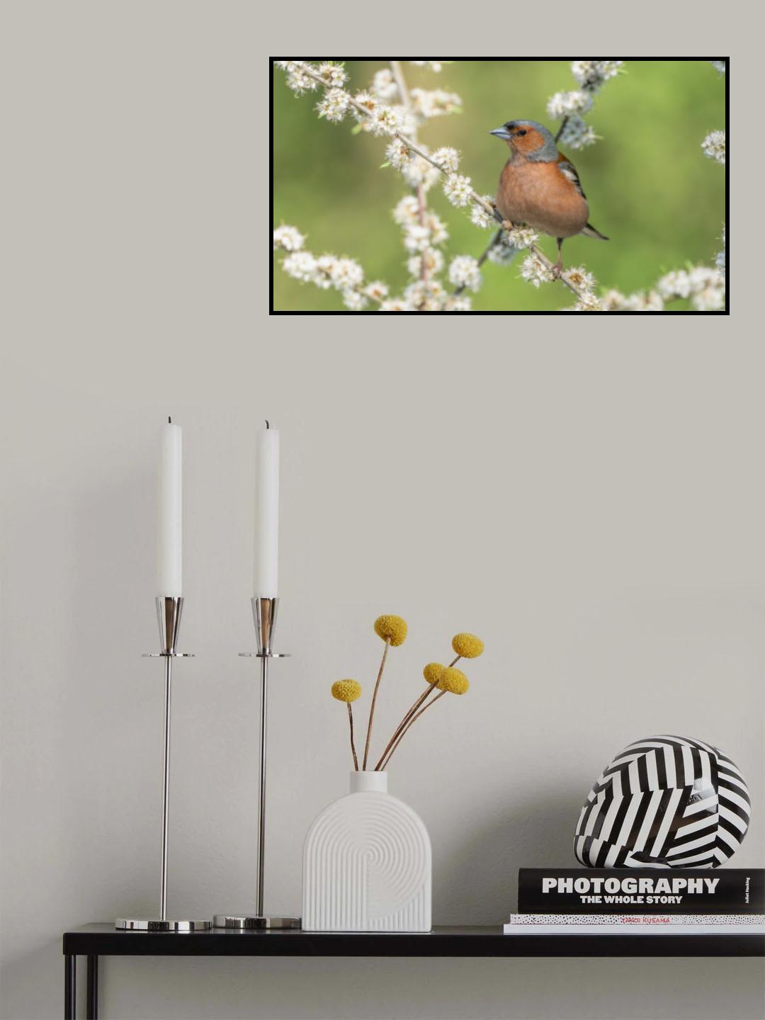 Poster och Canvastavla