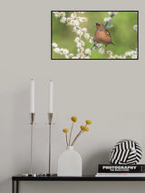 Poster och Canvastavla