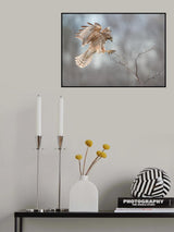 Landing Poster och Canvastavla