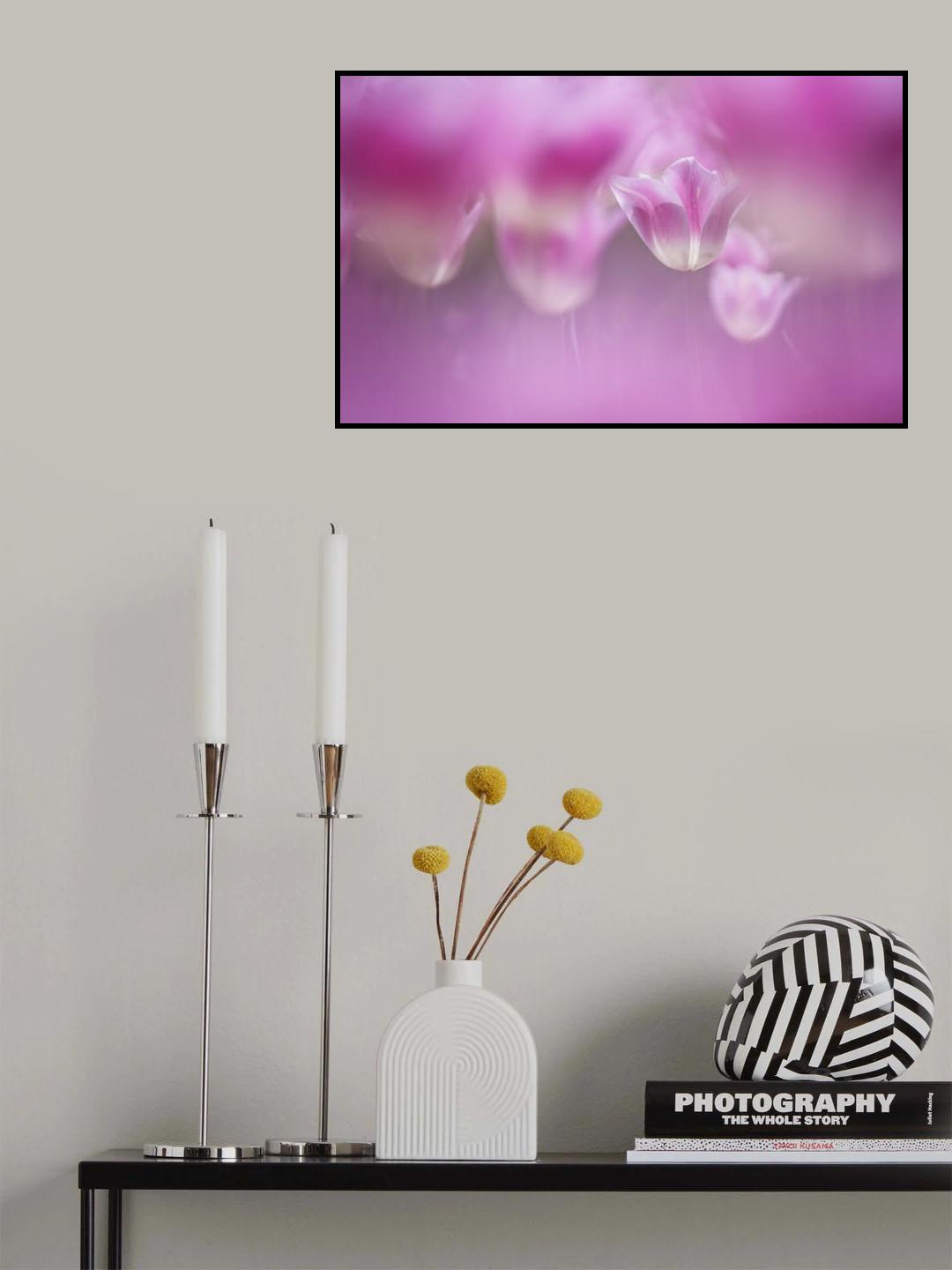 Enchanted tulips Poster och Canvastavla