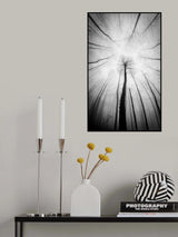 tree Poster och Canvastavla