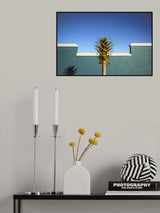 the desert blooms Poster och Canvastavla