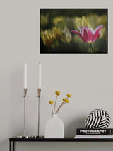 Kiss of the rain Poster och Canvastavla