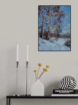 30 Poster och Canvastavla