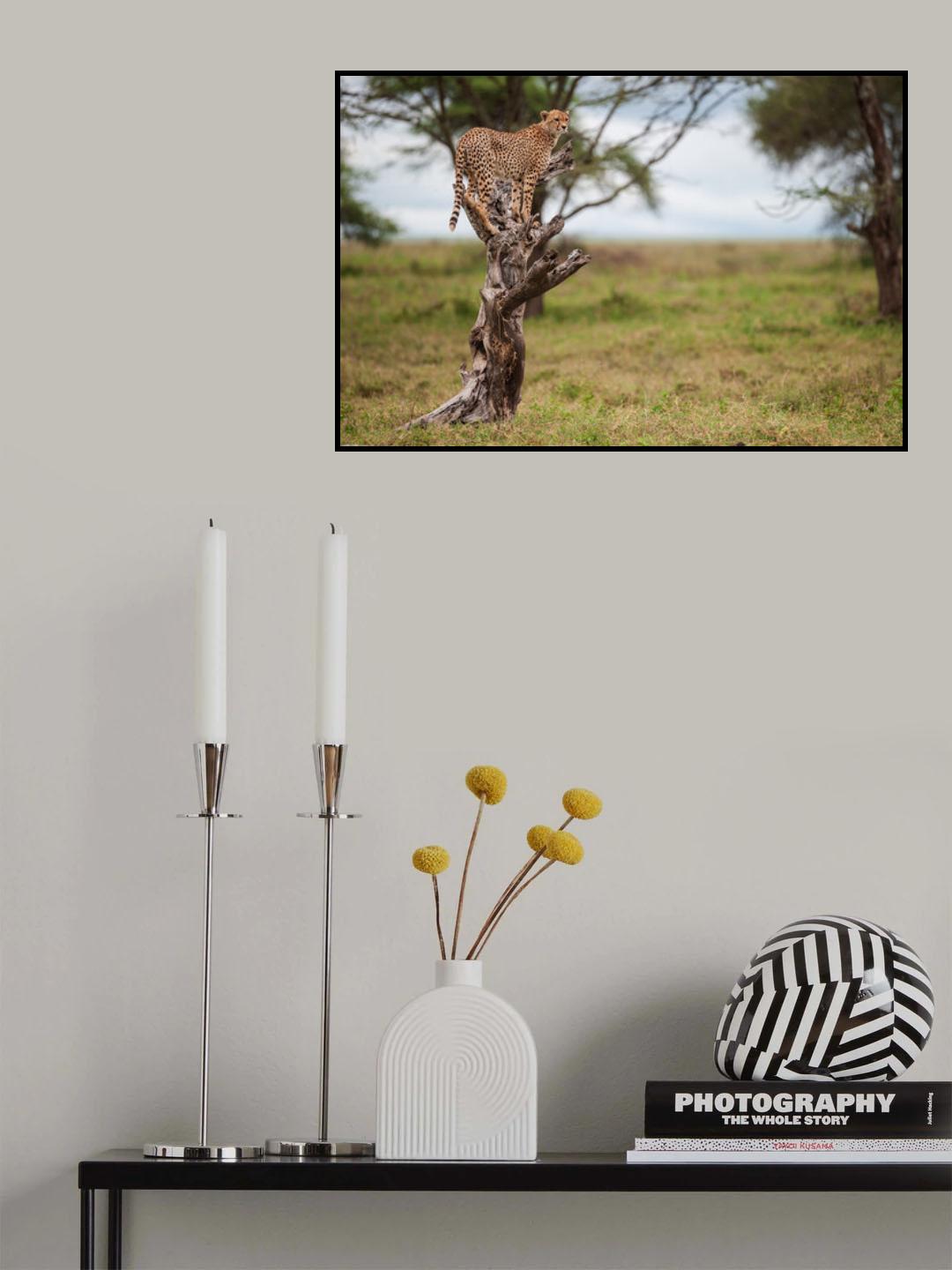 I'm spotted, I'm on a tree, I'm a leopard! Poster och Canvastavla