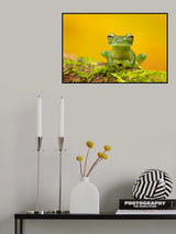 Emerald glass frog Poster och Canvastavla