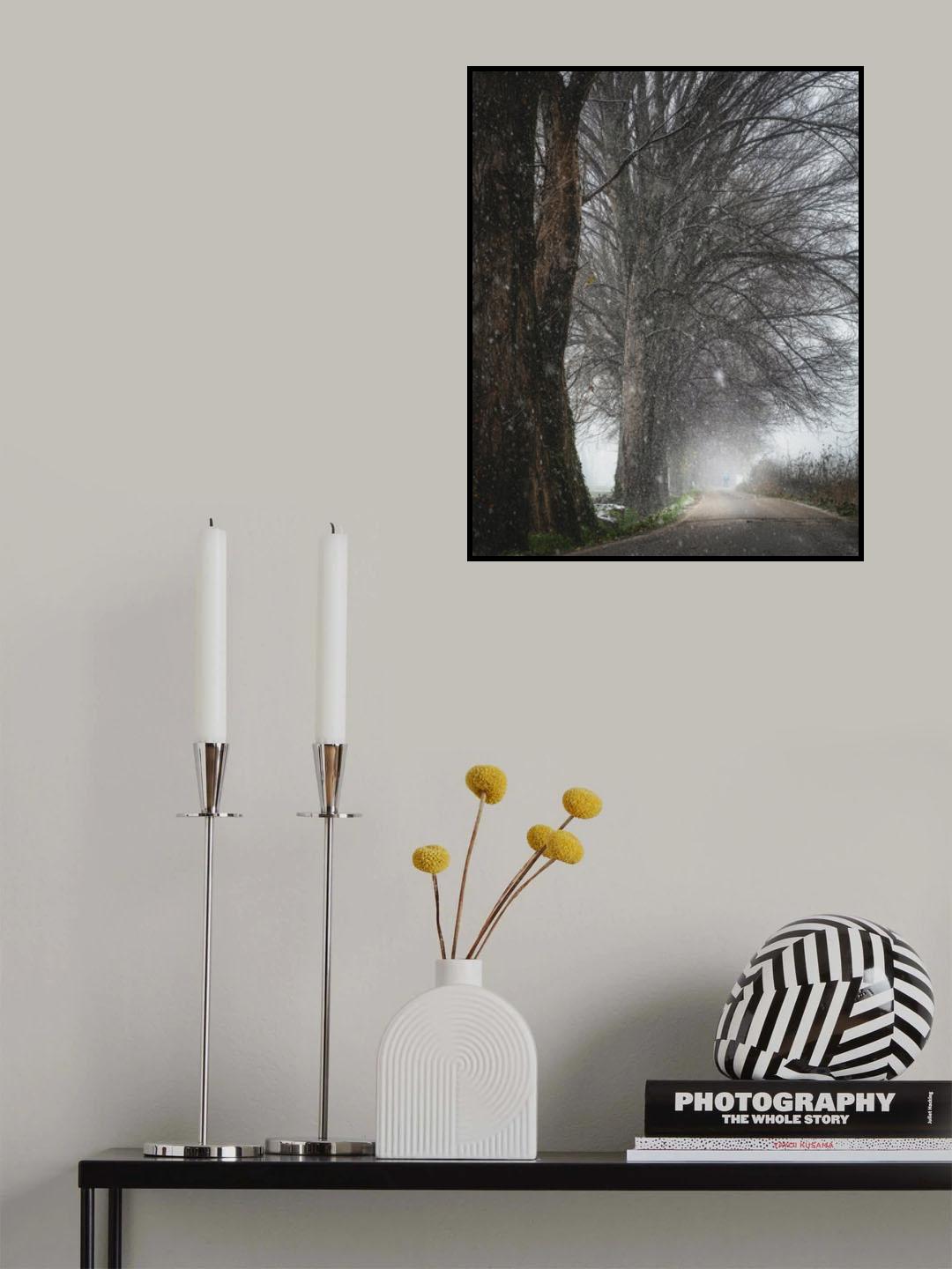 Prima neve Poster och Canvastavla