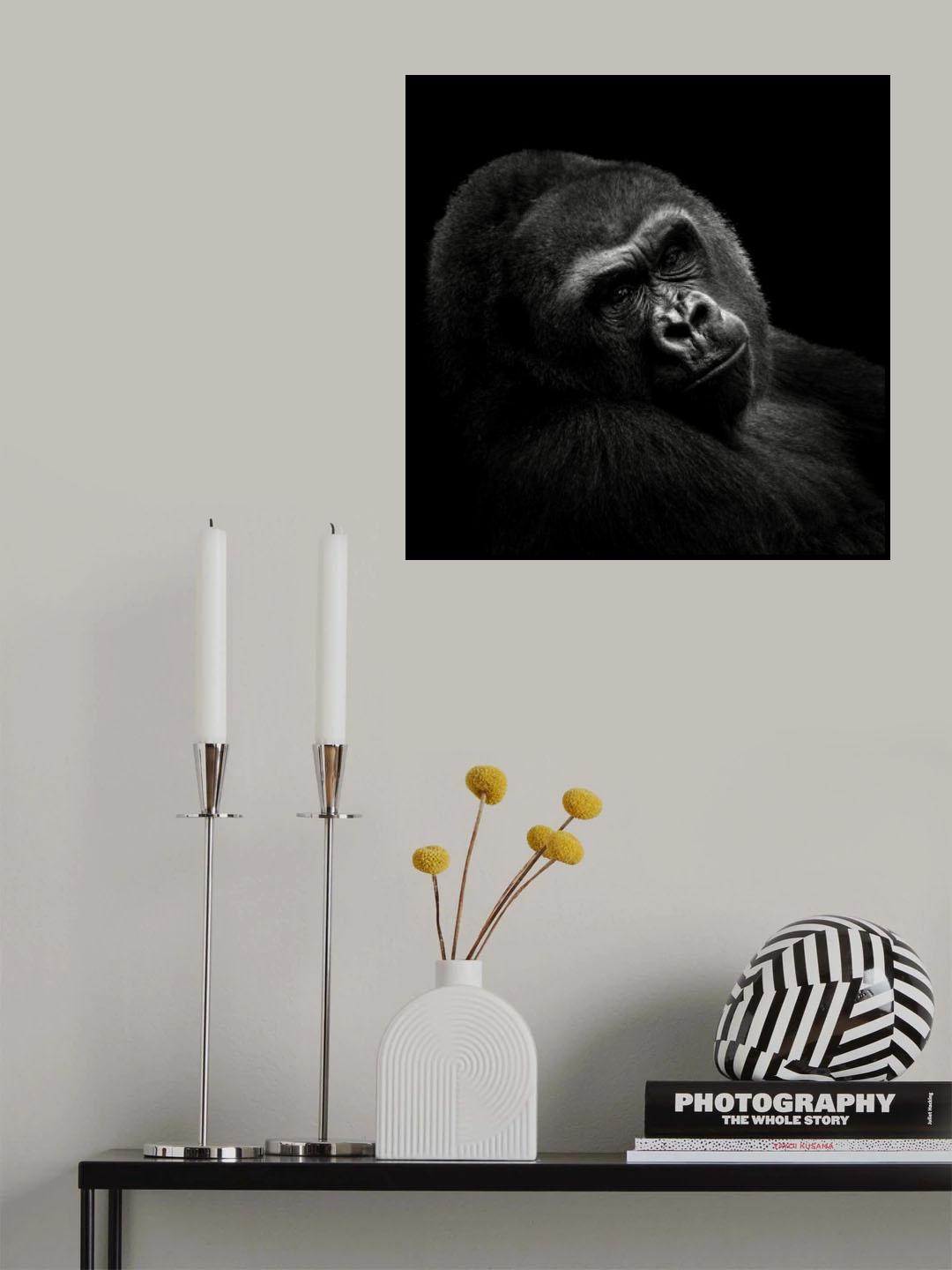 Gorilla Poster och Canvastavla