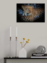 The Leopard Poster och Canvastavla