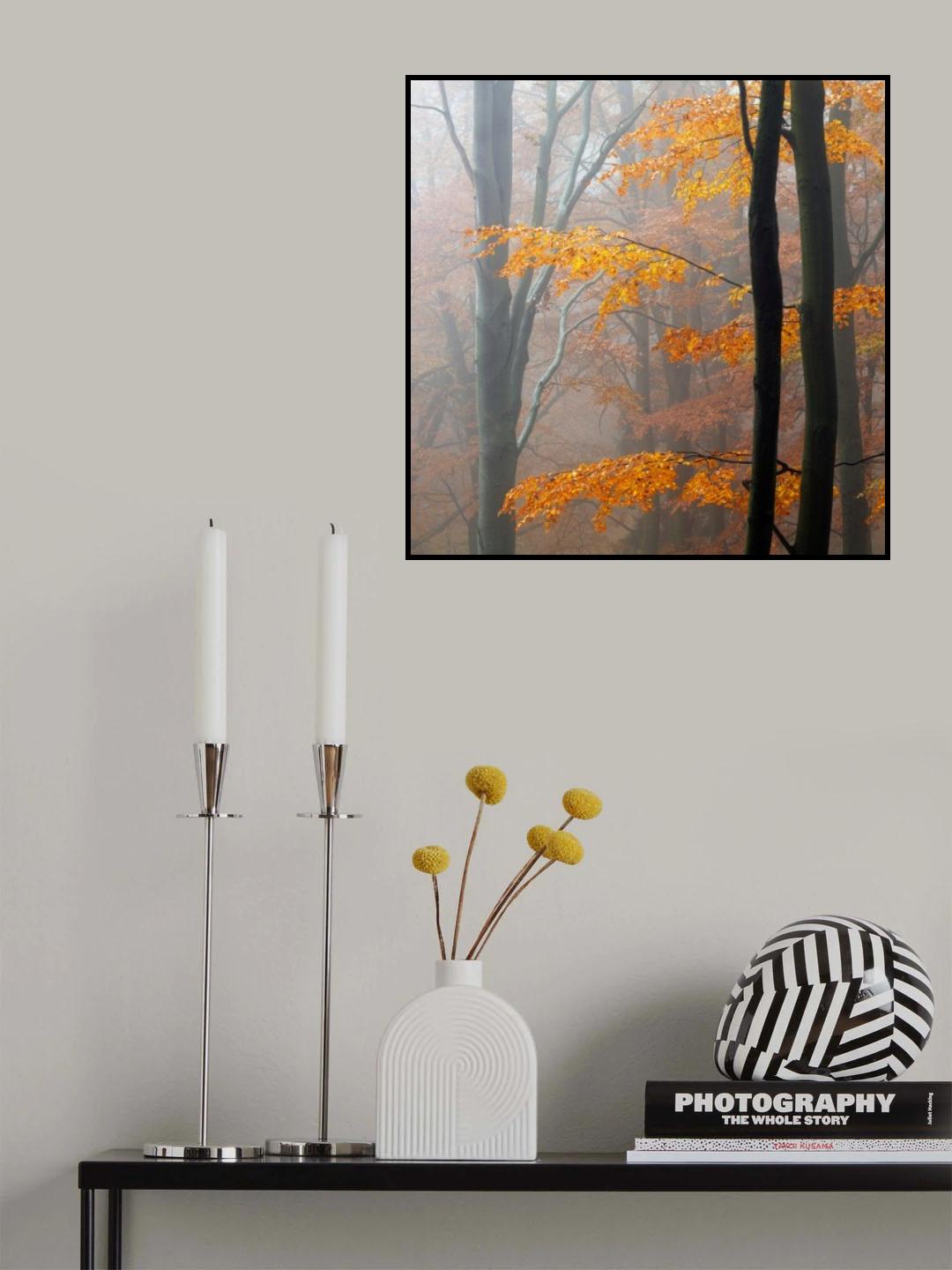 Autumn Forest Poster och Canvastavla
