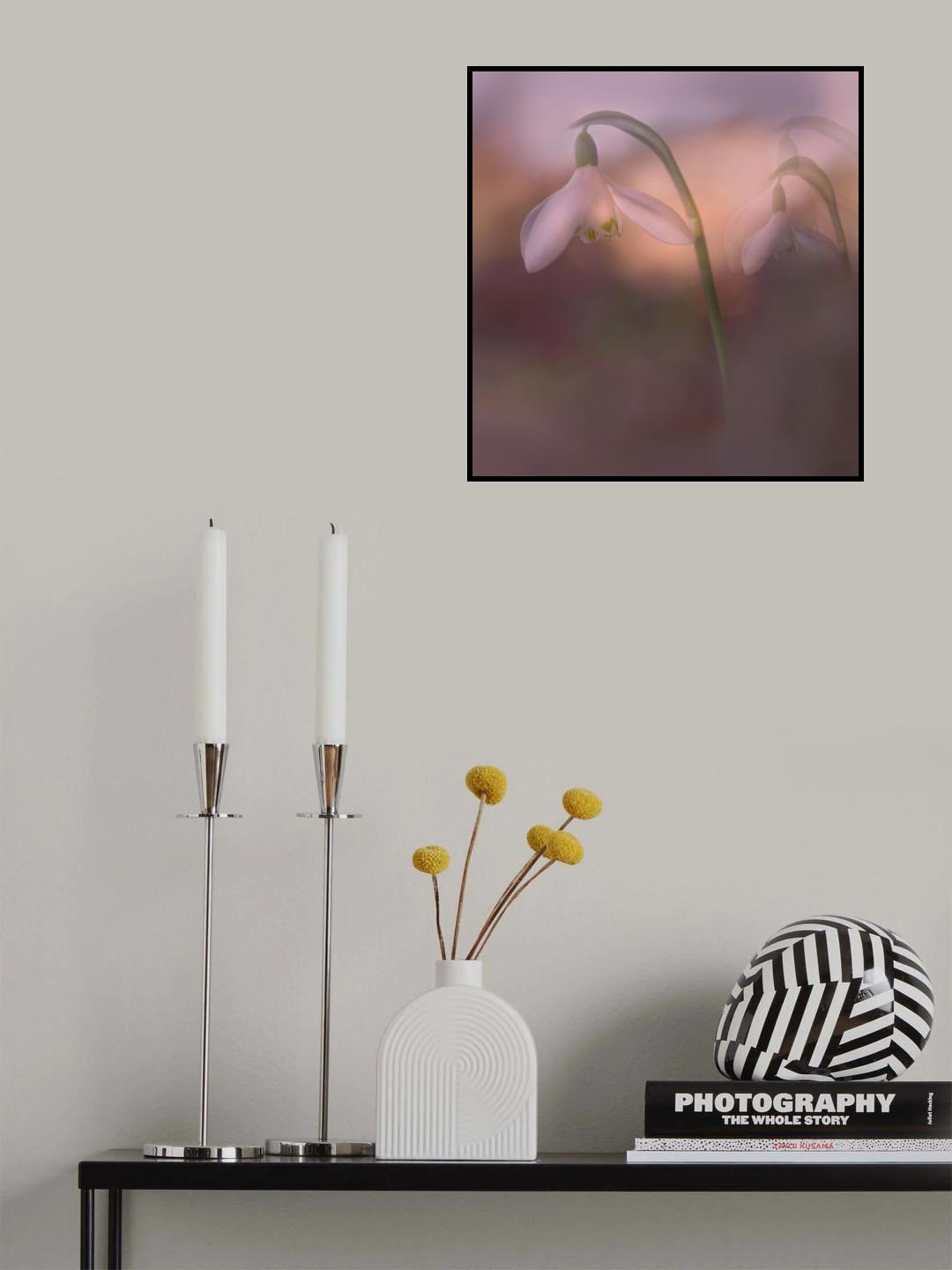 Echo. Poster och Canvastavla