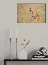 Lady of the Flies Poster och Canvastavla