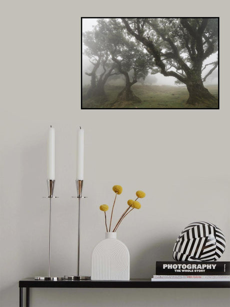 Three wizards Poster och Canvastavla