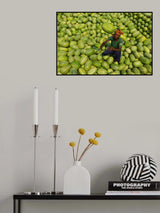 Watermelons worker Poster och Canvastavla