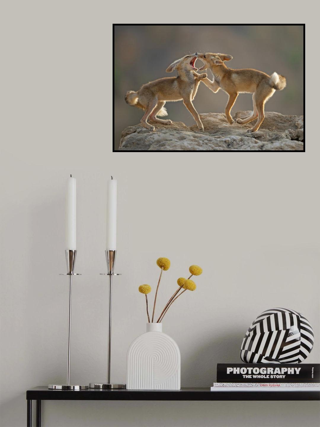 FOXES Poster och Canvastavla