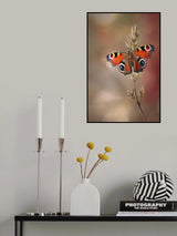 Orange beauty Poster och Canvastavla