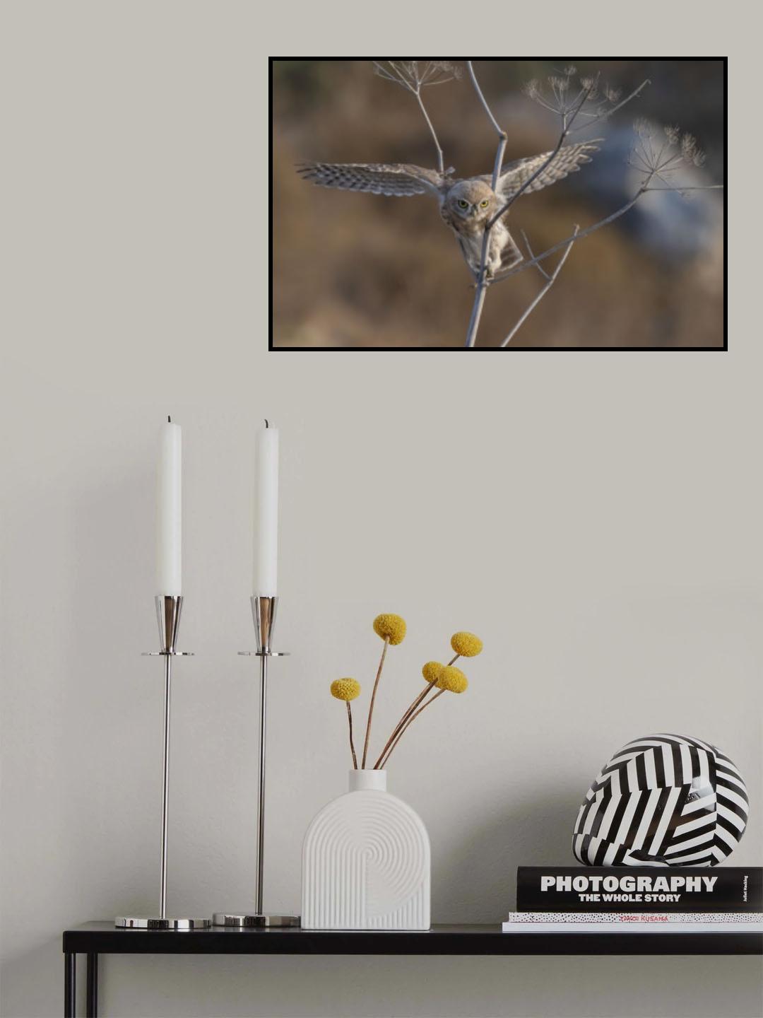 Flying in the bush Poster och Canvastavla