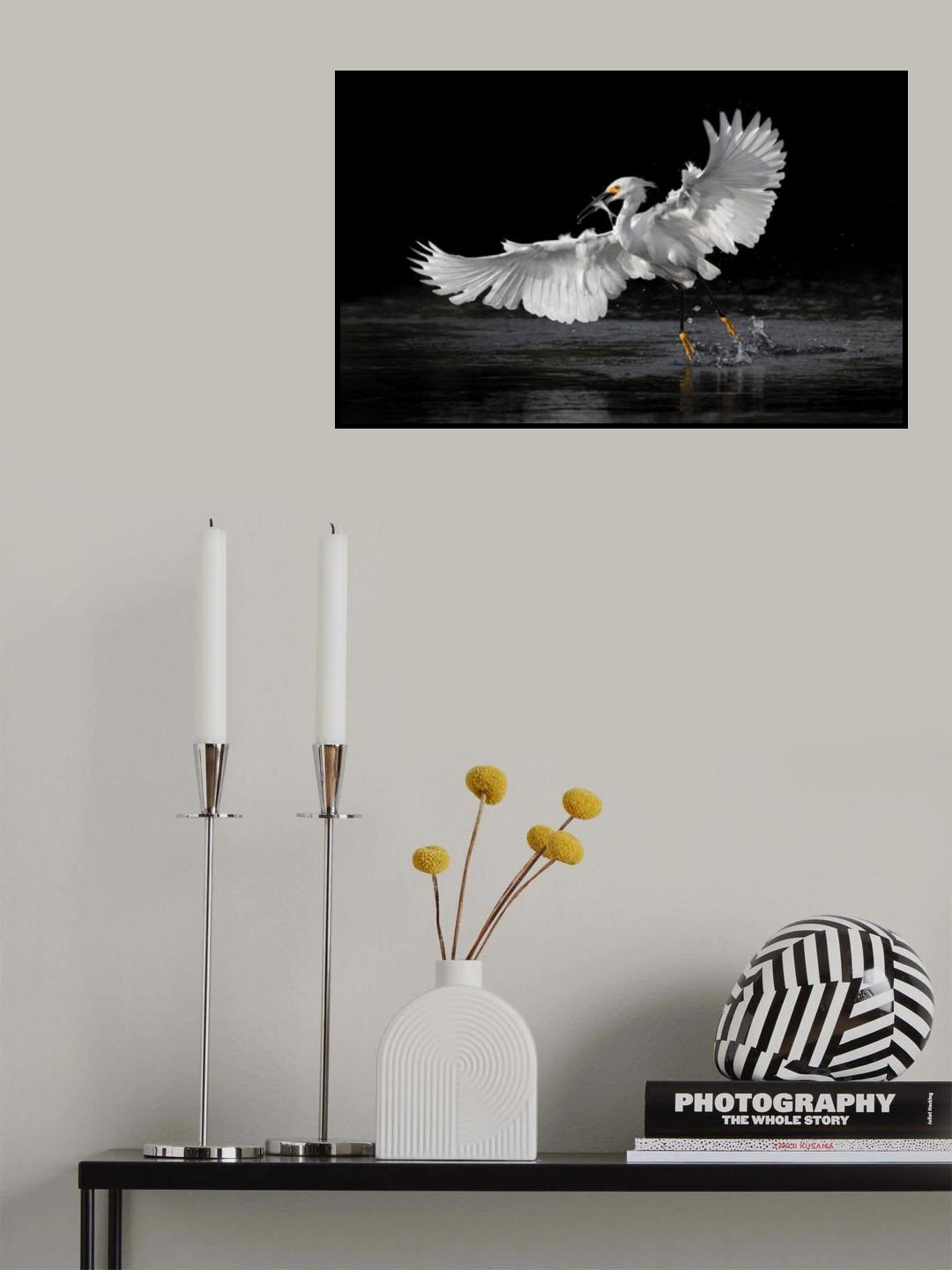 flying catch Poster och Canvastavla