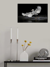 flying catch Poster och Canvastavla