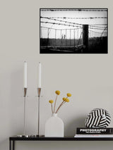 After All These Years Poster och Canvastavla