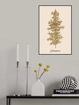 Oh Tannebaum (gold) Poster och Canvastavla