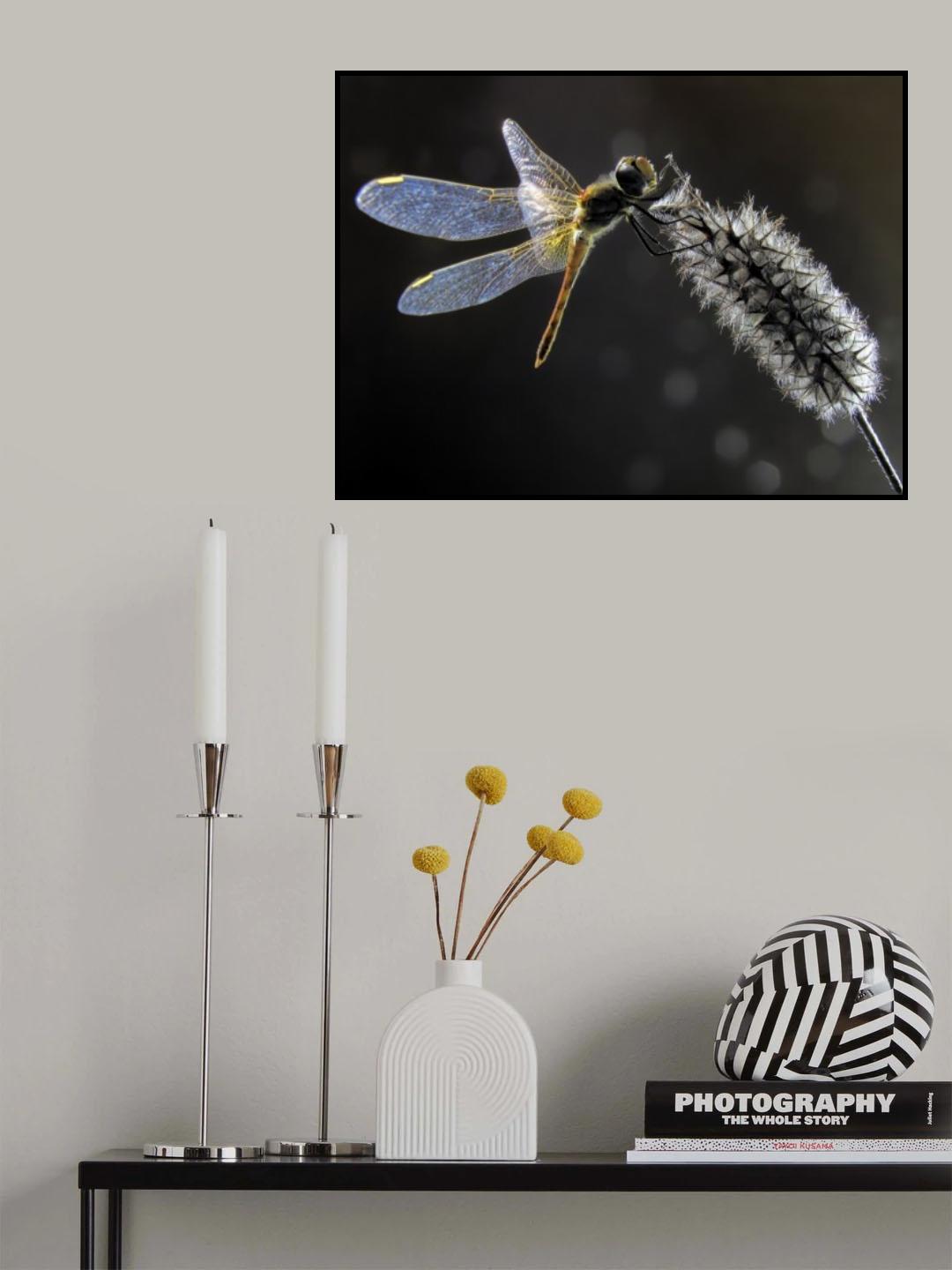 Dragonfly Poster och Canvastavla