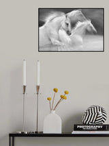 elegance in white Poster och Canvastavla