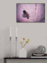 Looking-Glass world Poster och Canvastavla