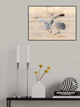 Let's Dance Poster och Canvastavla