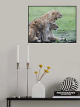 In the rain Poster och Canvastavla