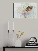white cloud Poster och Canvastavla