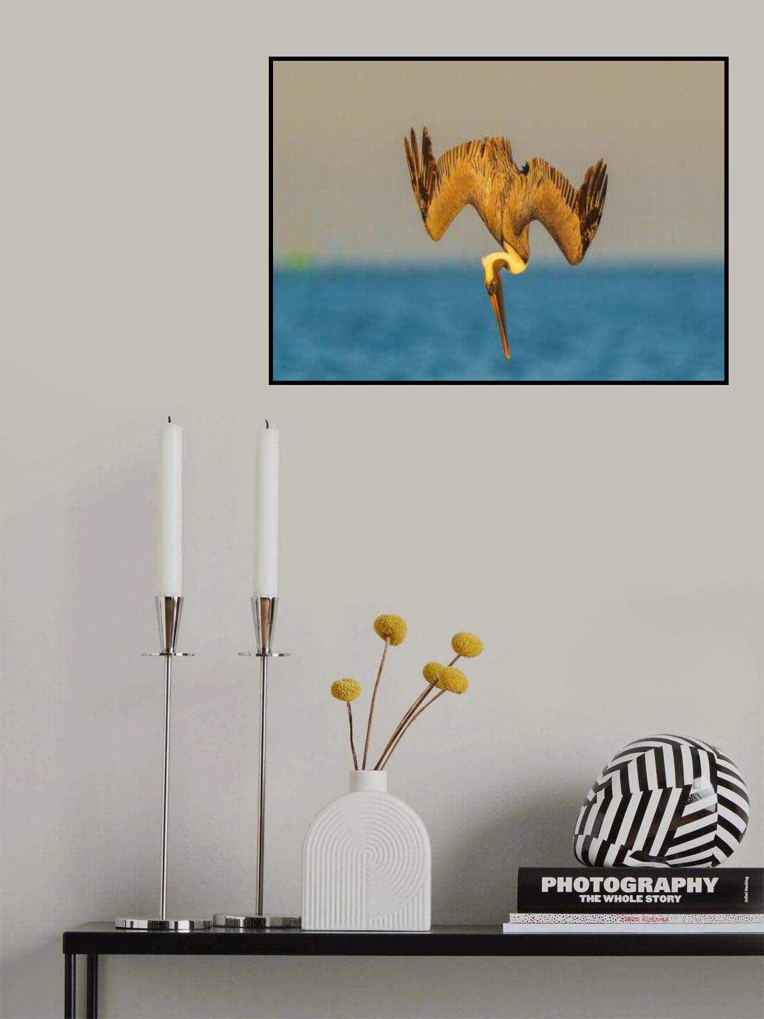 Diving... Poster och Canvastavla