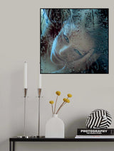 Beauty drop Poster och Canvastavla