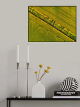 Through the fields Poster och Canvastavla
