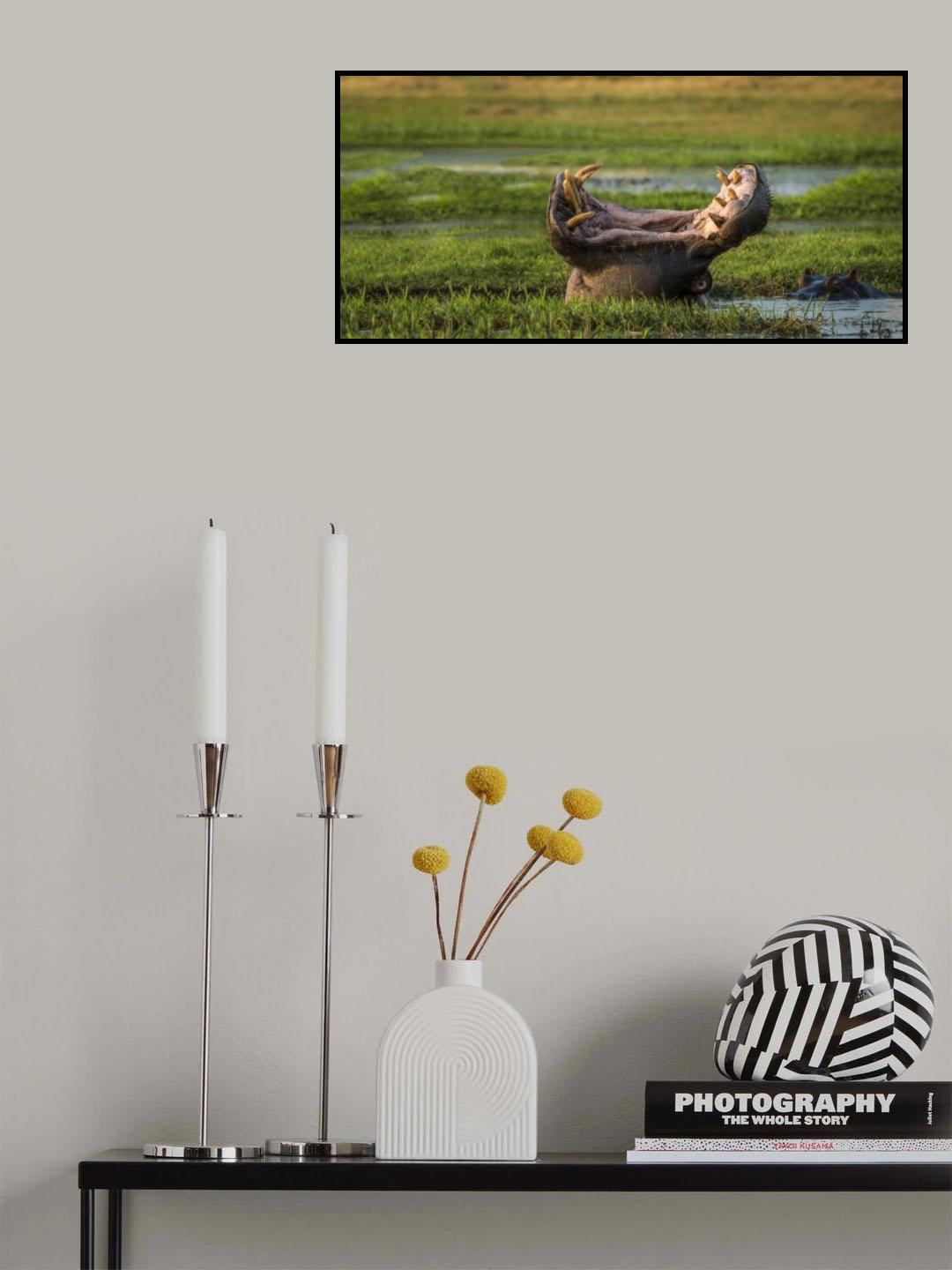 Dare to Yawn Poster och Canvastavla