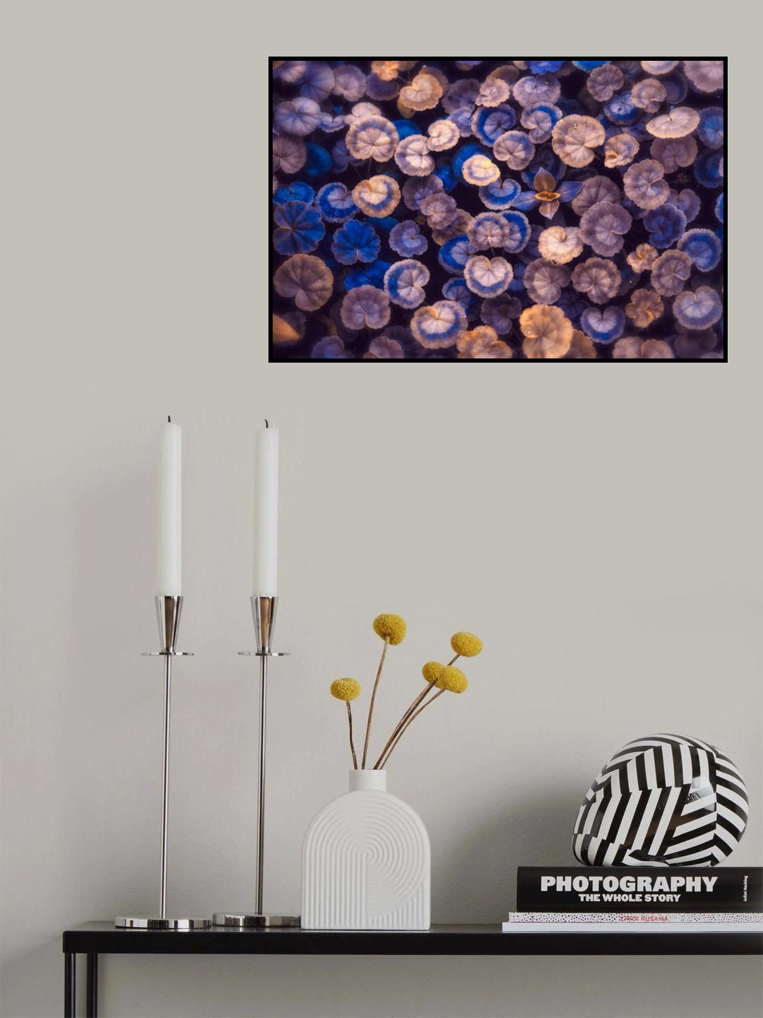 The Little Umbrellas Poster och Canvastavla