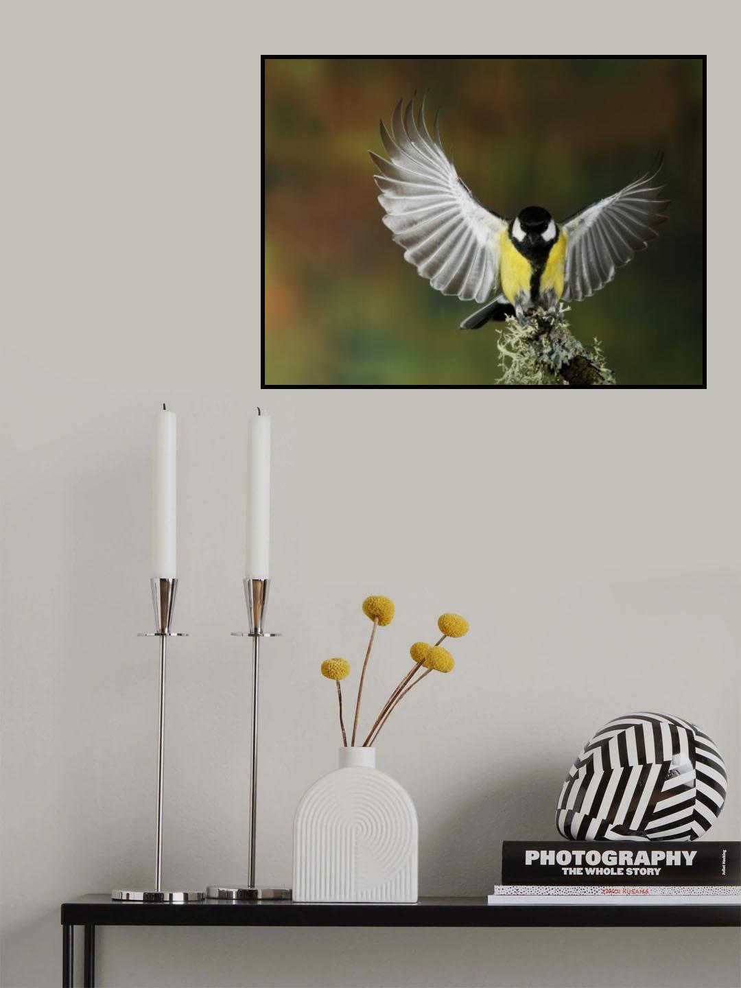 Tit wing Poster och Canvastavla