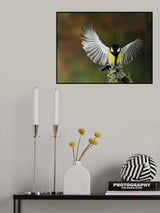 Tit wing Poster och Canvastavla