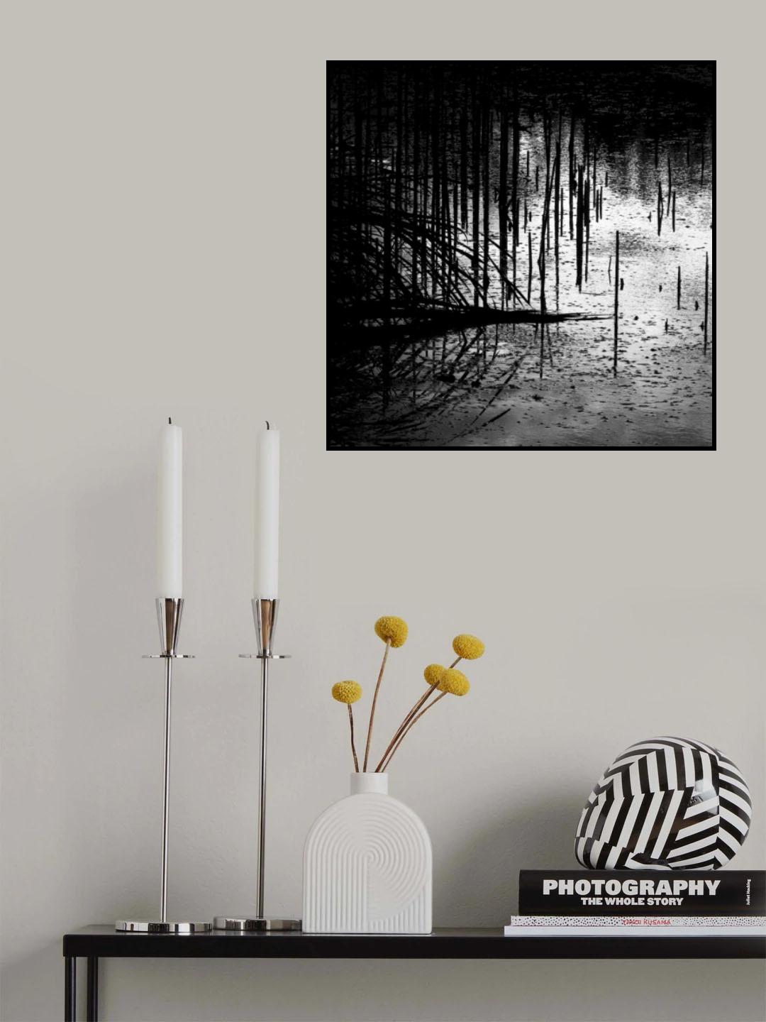 Poster och Canvastavla