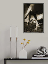 Promenade 2 Poster och Canvastavla