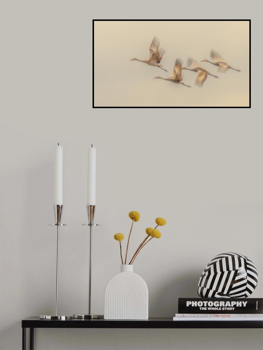 Poster och Canvastavla