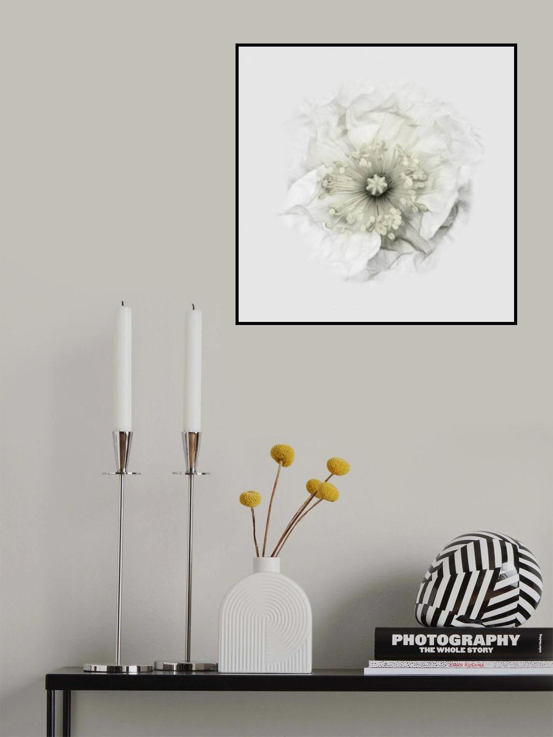 Yet another poppy Poster och Canvastavla