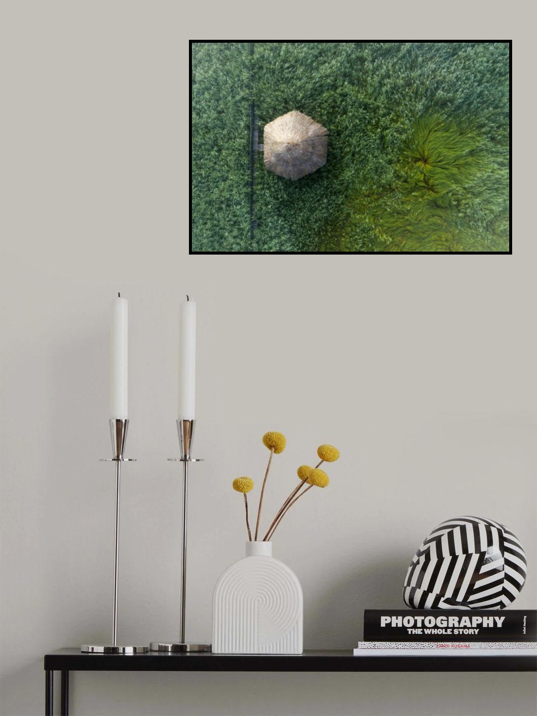 Reeds Poster och Canvastavla