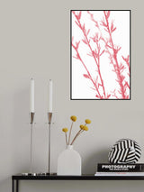Pink dainty branch Poster och Canvastavla