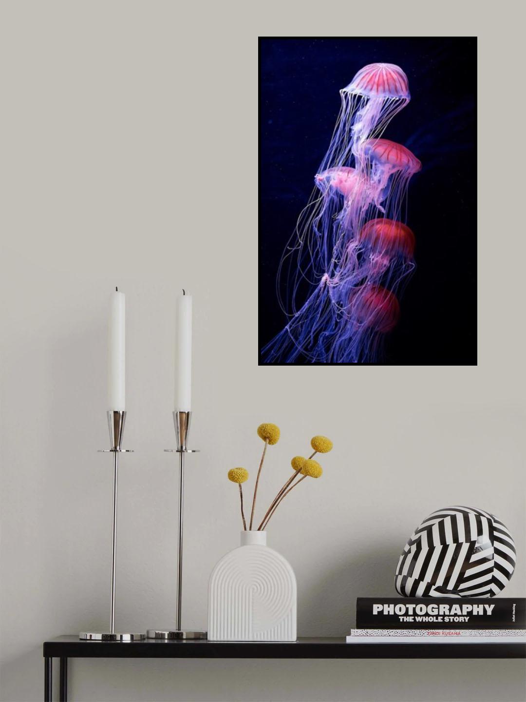 Entangled Poster och Canvastavla