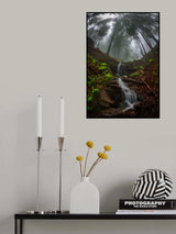 Trees bend over the waterfall Poster och Canvastavla