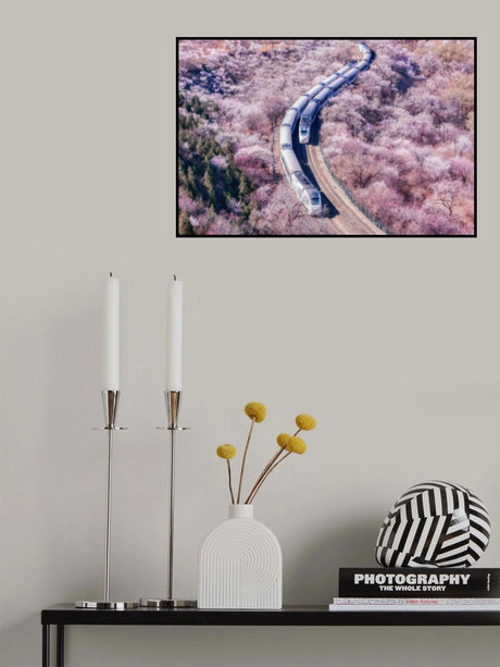 The Train to Spring Poster och Canvastavla